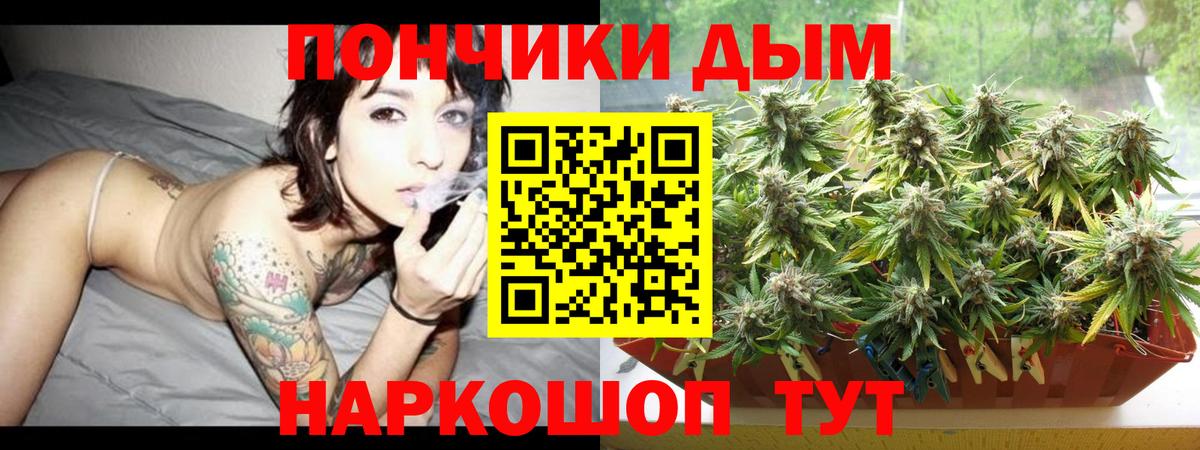 Бошки Шишки THC 21% Кисловодск